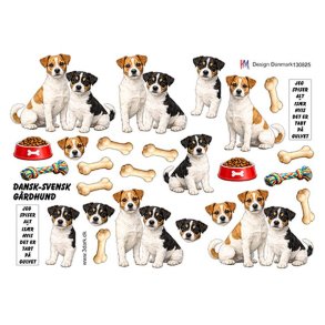 3D ark dansk-svensk g�rdhund HM design