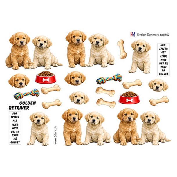 3D ark Golden Retriver M49