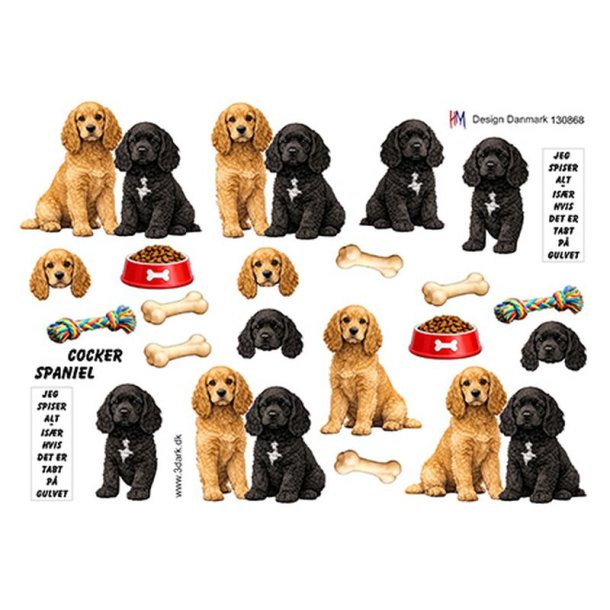 3D ark Cocker spaniel M49
