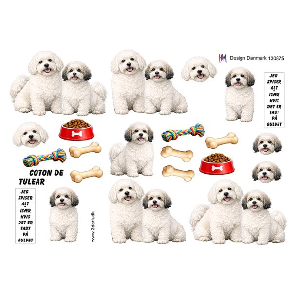 3D ark Hund coton de tulear M49