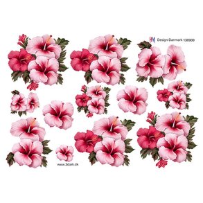 3D ark Lyser�d syrisk rose HM design M50
