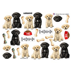 3D ark Labrador HM design M50