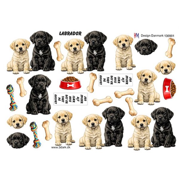 3D ark Labrador HM design M50