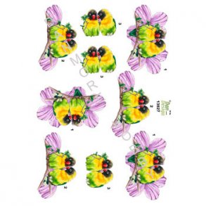 3D ark Papegje Love M19