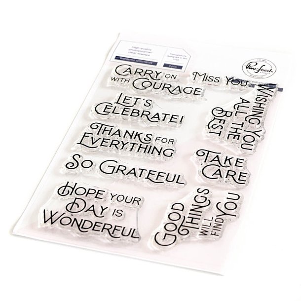 Pinkfresh Studio Stempel Wonderful Sentiments