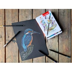 Metallic Farveblyanter 12 stk. Bruynzeel