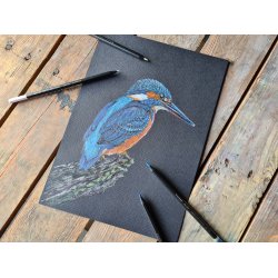 Metallic Farveblyanter 12 stk. Bruynzeel