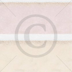 Papirdesign mnsterpapir 12 x 12" Sjampis er Topp