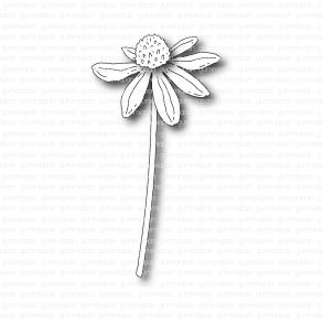 Gummiapan die Rudbeckia 