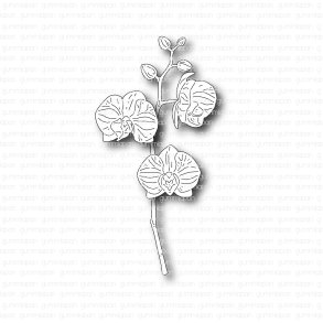 Gummiapan die Orkid� 