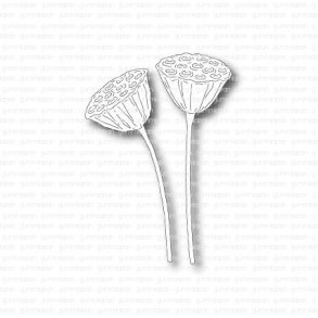 Gummiapan Die Lotuskapslar 