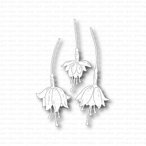 Gummiapan Die Fuchsia Blommor 