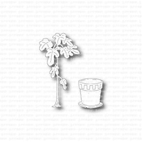 Gummiapan Die Fiolfikus