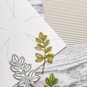 Die Gummiapan Bladsr�lk