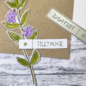 Die Tillykke gummiapan 