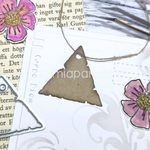 Die Triangeltag gummiapan O