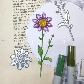 Die Rosensk�ra gummiapan 