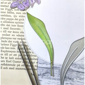 Die Stot blad gummiapan 