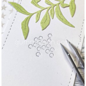 Die Bikakem�nster gummiapan 