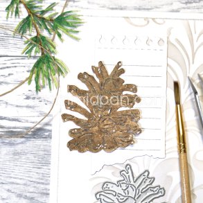 Die Kotte  gummiapan O