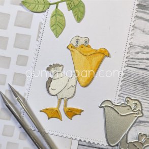 Die Pelikan gummiapan 