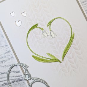 Die Sn�droppshj�rta gummiapan