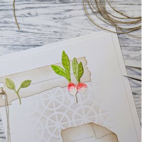 Die R�disor gummiapan 