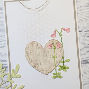 Die Linn�a gummiapan 