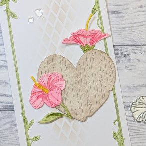 Die Hibiskus gummiapan 