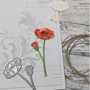 Die Vallmo gummiapan