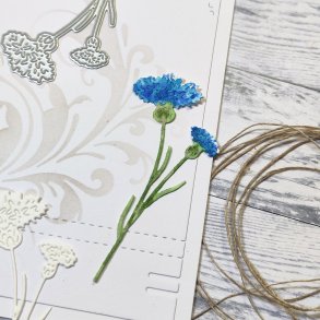 Die Bl�klint gummiapan