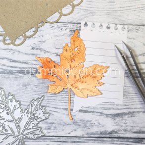 Die Slitet L�nnl�v gummiapan 