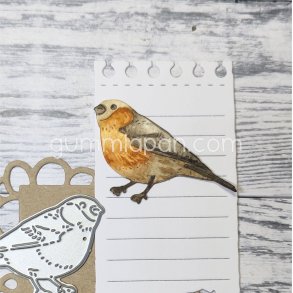 Die F�gel gummiapan 