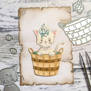 Die Katt som badar gummiapan 