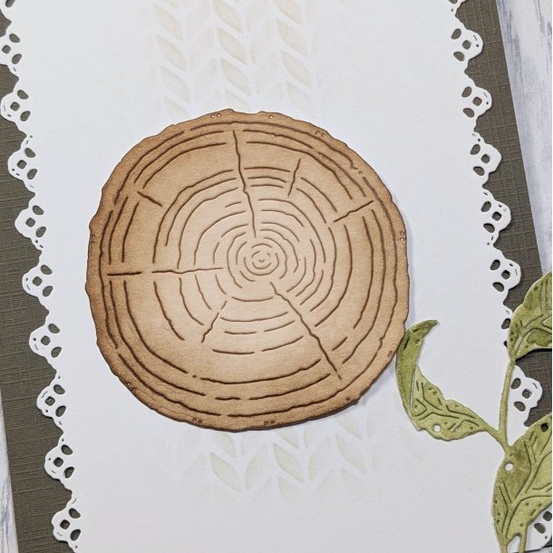 Die Tr�skiva Med �dring 2.0 gummipan FORUDBESTILLING