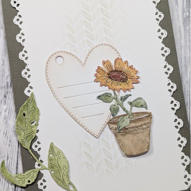 Die Solros i Kruka gummiapan FORUDBESTILLING