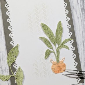 Die Stor V�xt i Korg gummiapan FORUDBESTILLING