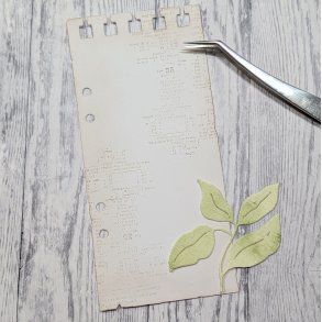 Die GA SlimLine Note gummiapan FORUDBESTILLING