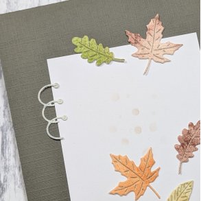 Die Albumringar gummiapan FORUDBESTILLING