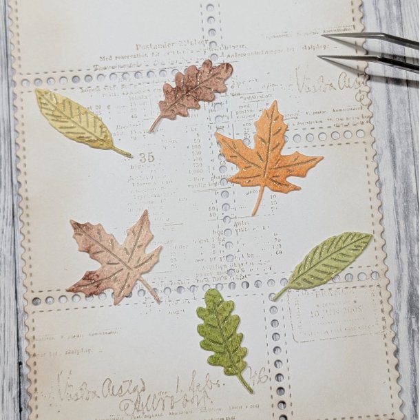 Die 3 Sm� L�v gummiapan FORUDBESTILLING