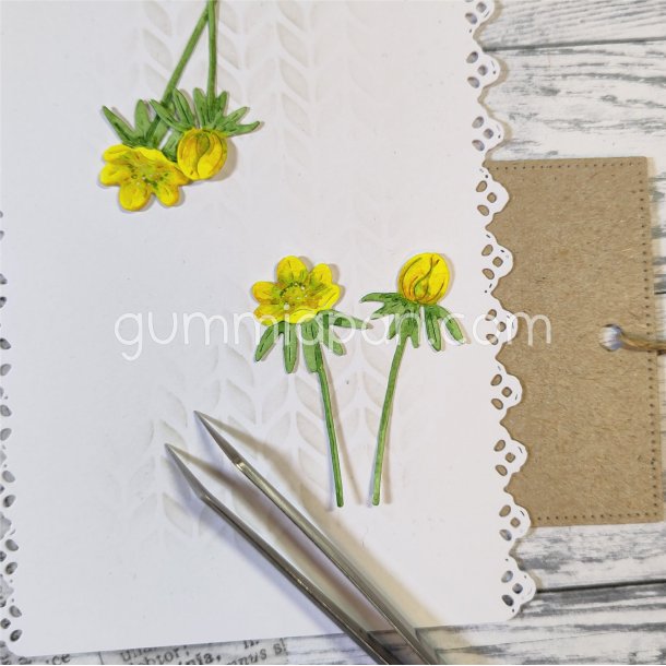 Die Vinterg&auml;ck gummiapan FORUDBESTILLING