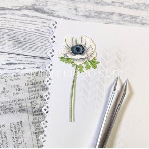 Die Anemon gummiapan 