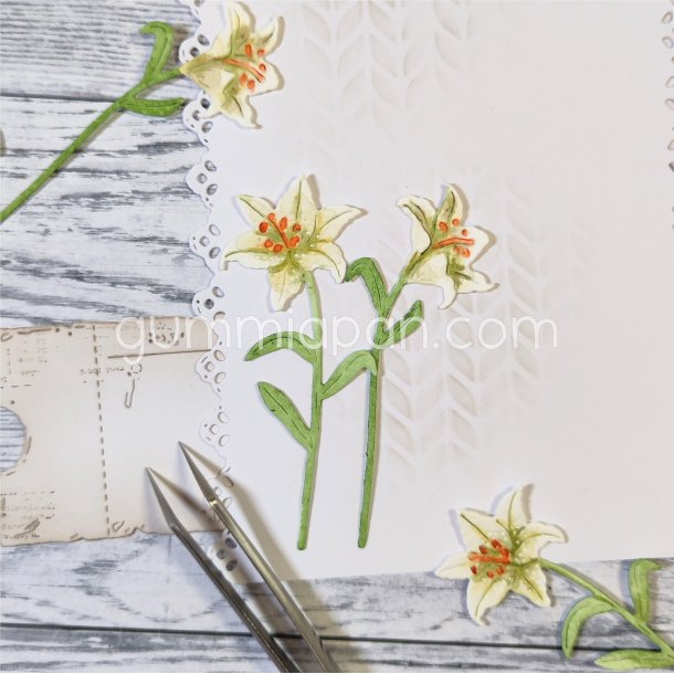 Die Liljor gummiapan FORUDBESTILLING