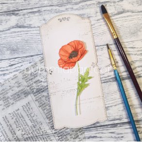 Die Vallmo gummiapan