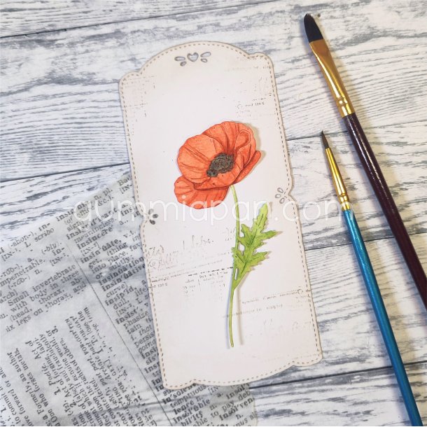 Die Vallmo gummiapan FORUDBESTILLING