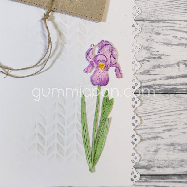 Die Iris gummiapan FORUDBESTILLING