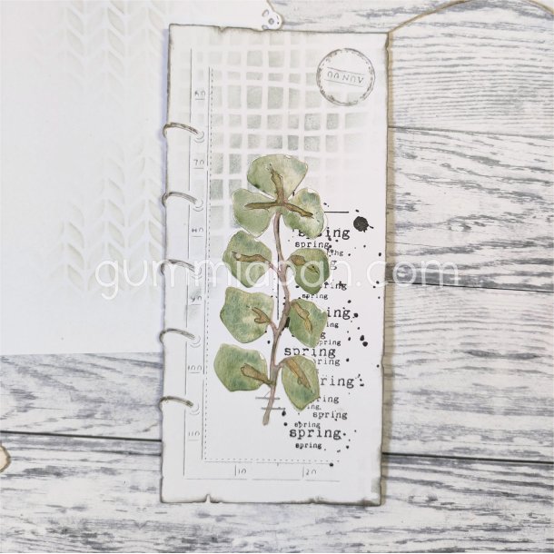 Die Eucalyptus gummiapan FORUDBESTILLING