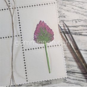 Die Gr&auml;sl&ouml;k gummiapan 