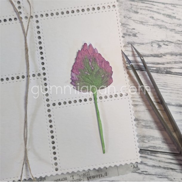 Die Gr&auml;sl&ouml;k gummiapan FORUDBESTILLING