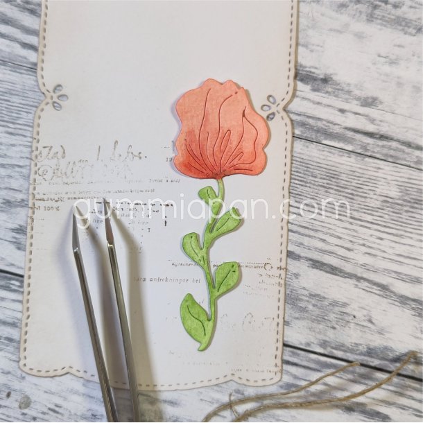 Die Campanula gummiapan FORUDBESTILLING